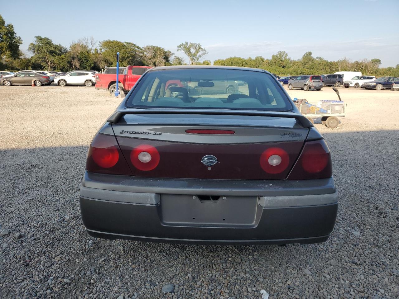 2003 Chevrolet Impala Ls VIN: 2G1WH52K839114202 Lot: 71658485