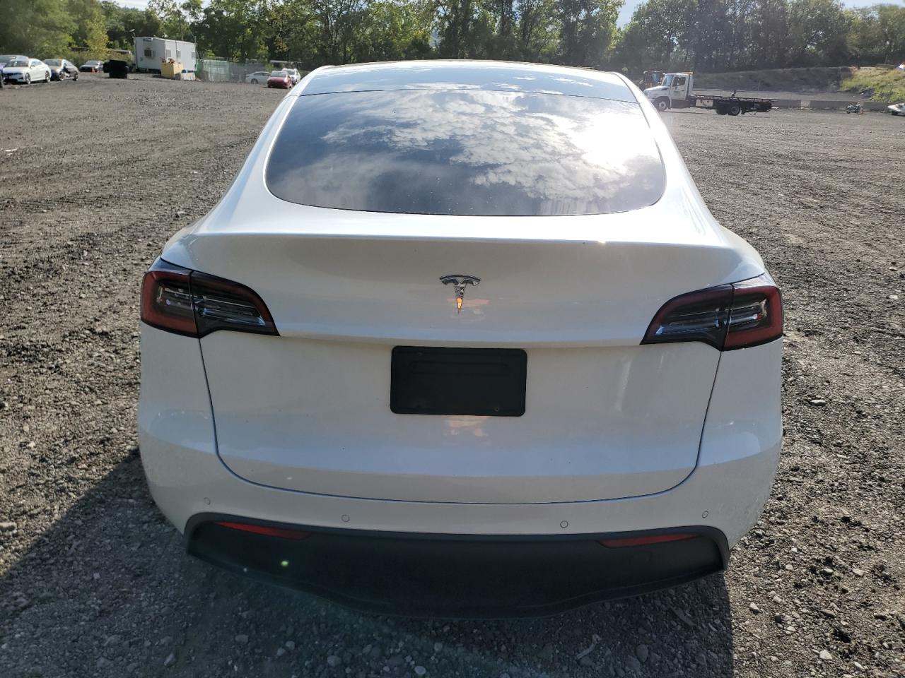 2020 Tesla Model Y VIN: 5YJYGDEEXLF047102 Lot: 71152435