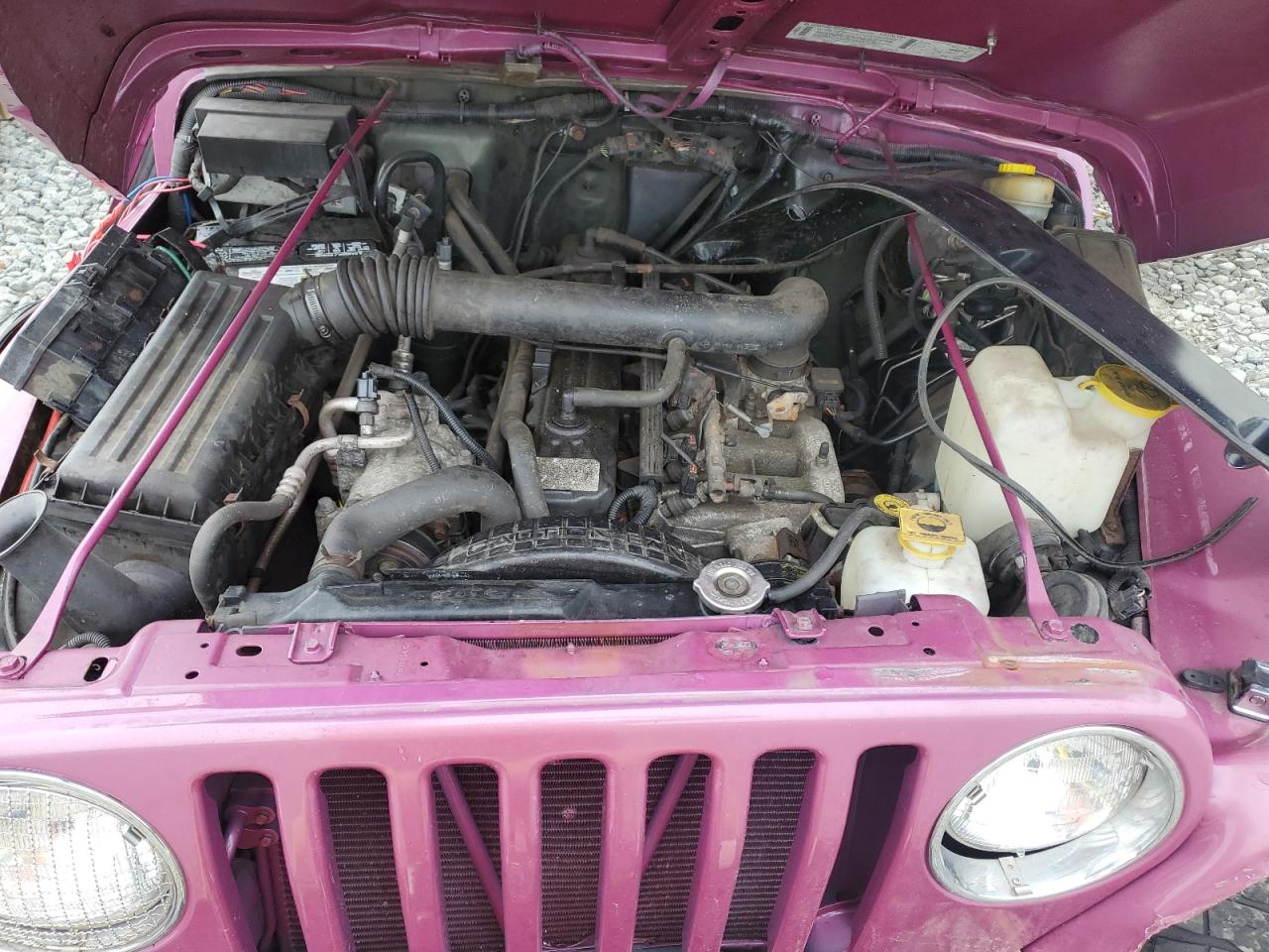 1998 Jeep Wrangler / Tj Sahara VIN: 1J4FY49S1WP706421 Lot: 84597005