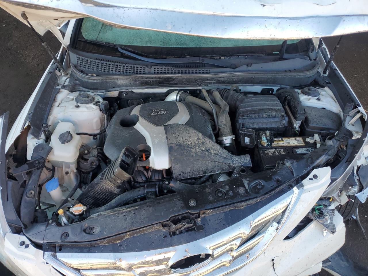 2013 Hyundai Sonata Se VIN: 5NPEC4AB0DH532006 Lot: 81265035