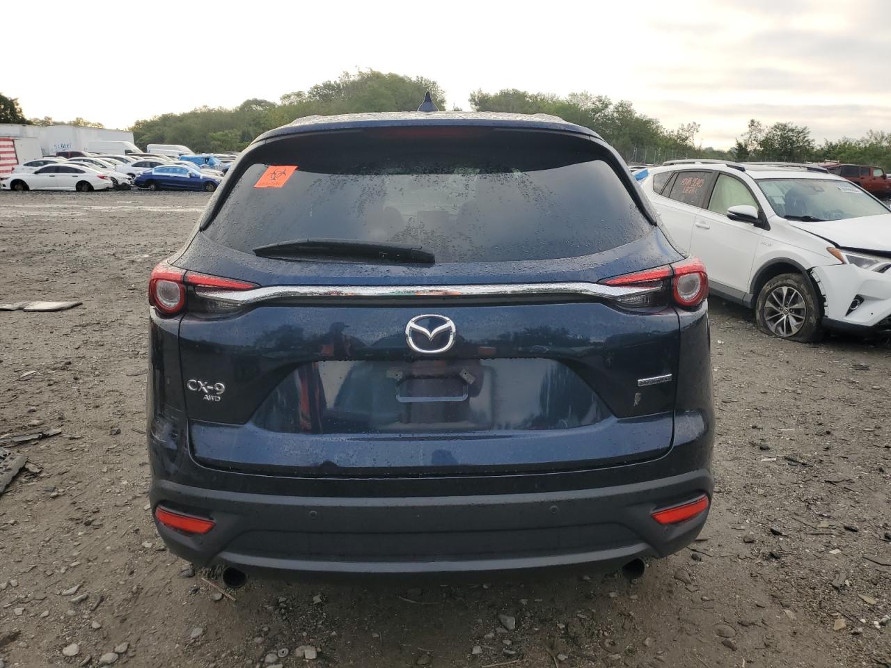 2020 Mazda Cx-9 Touring VIN: JM3TCBCY1L0423506 Lot: 80561015