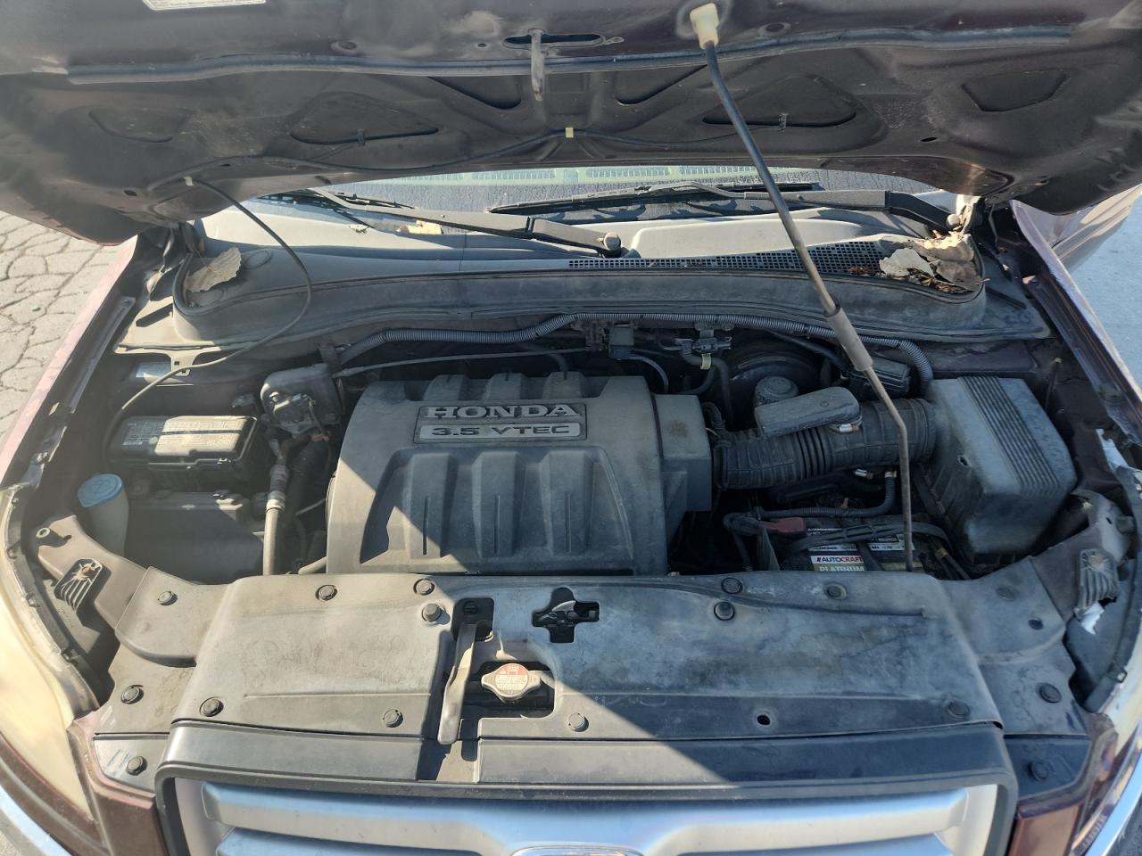 2007 Honda Pilot Exl VIN: 5FNYF18577B009023 Lot: 84644155