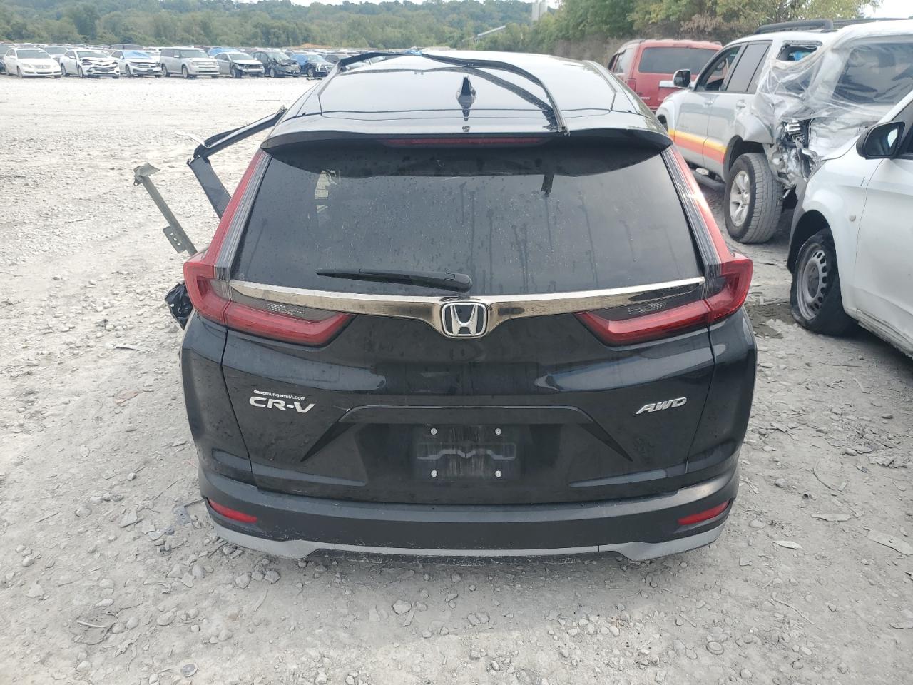 2022 Honda Cr-V Ex VIN: 7FARW2H50NE038486 Lot: 81423285