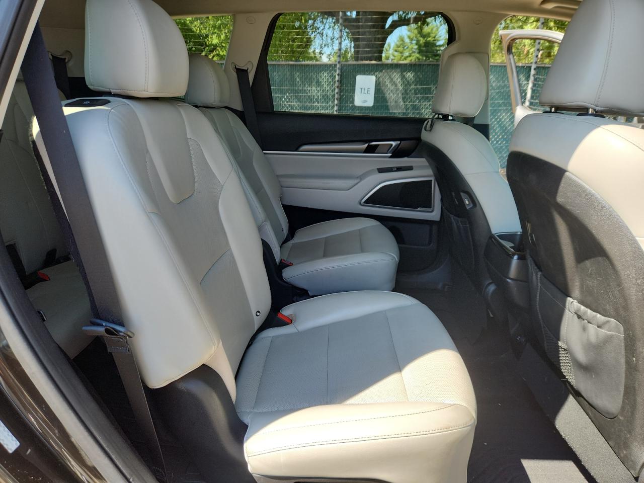 2020 Kia Telluride S VIN: 5XYP6DHC0LG051998 Lot: 80625645