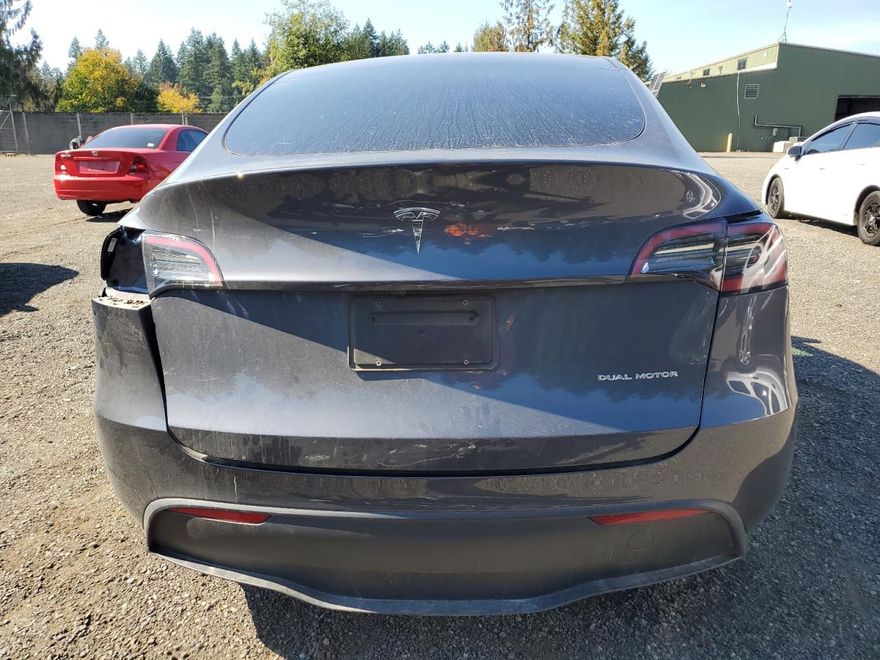 2023 Tesla Model Y VIN: 7SAYGDEE6PF921891 Lot: 82118335