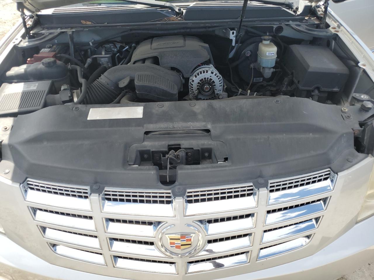 2010 Cadillac Escalade Premium VIN: 1GYUCCEF1AR152450 Lot: 82088245