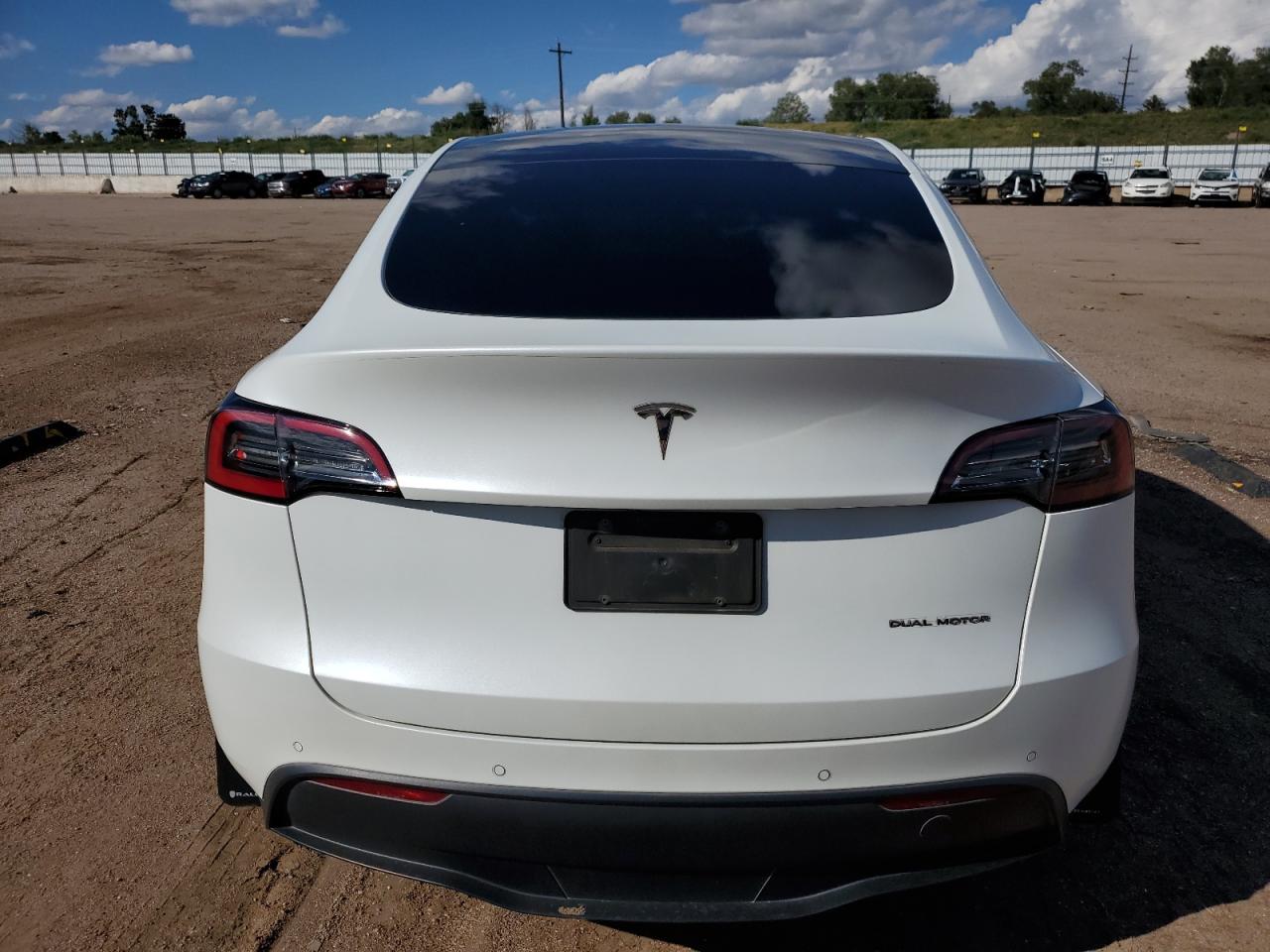 2022 Tesla Model Y VIN: 7SAYGDEE4NF354657 Lot: 81276555