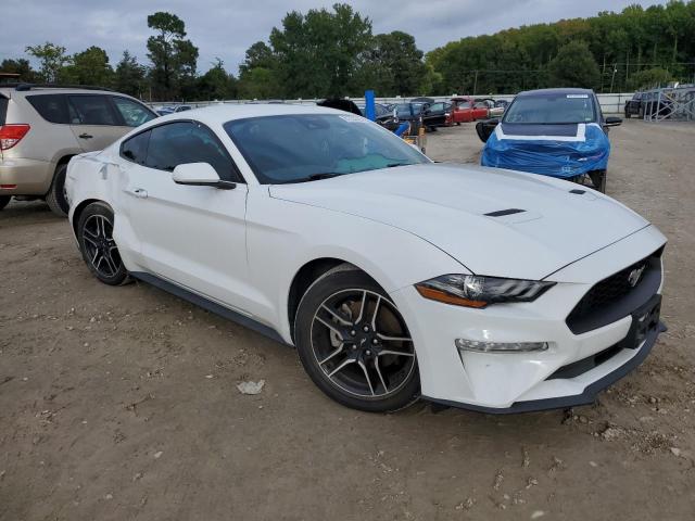  FORD ALL Models 2023 Белы