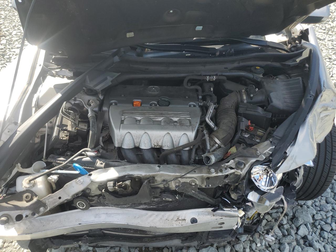 2010 Acura Tsx VIN: JH4CU2F69AC004667 Lot: 81364135