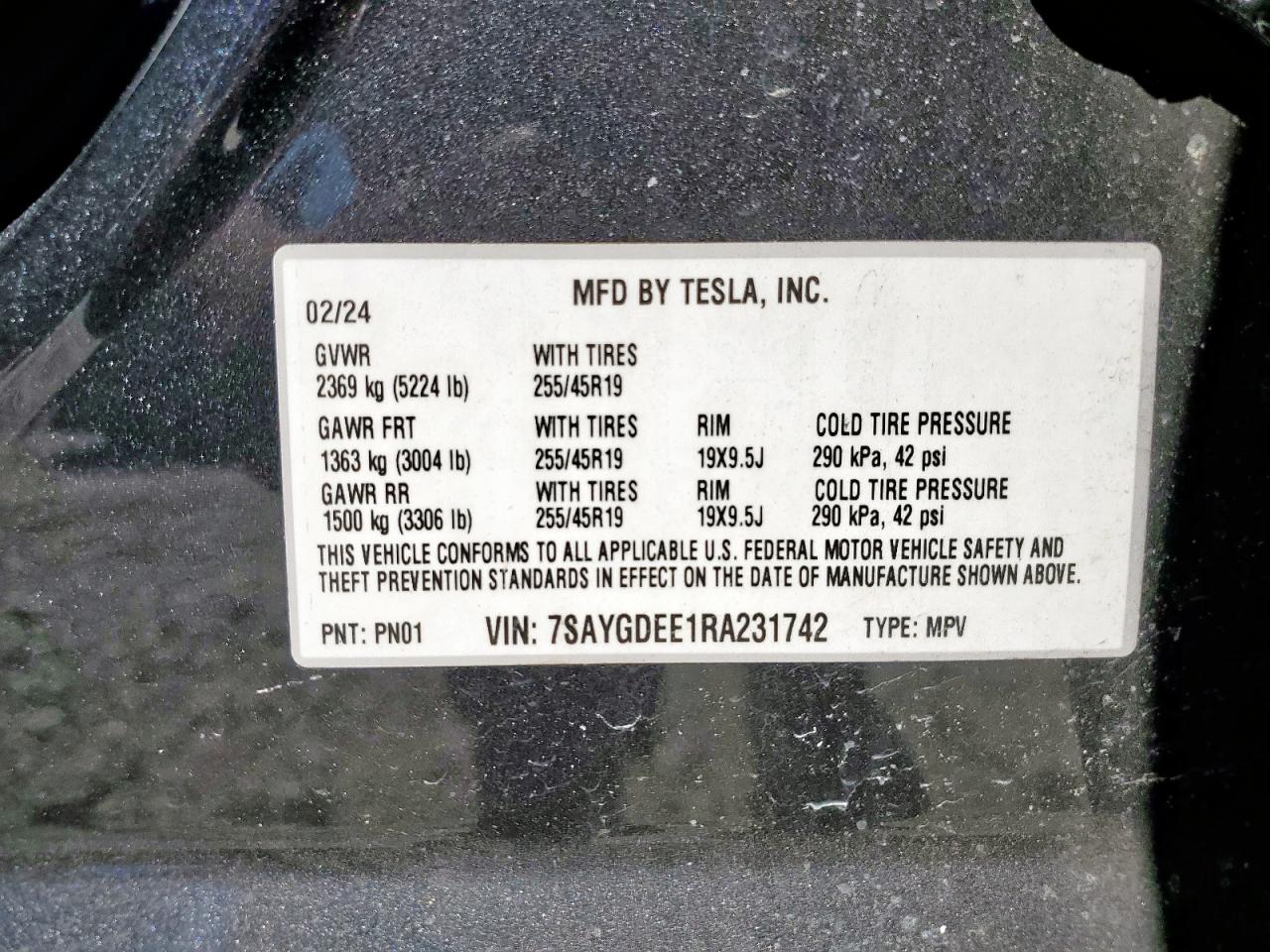 2024 Tesla Model Y VIN: 7SAYGDEE1RA231742 Lot: 81680985