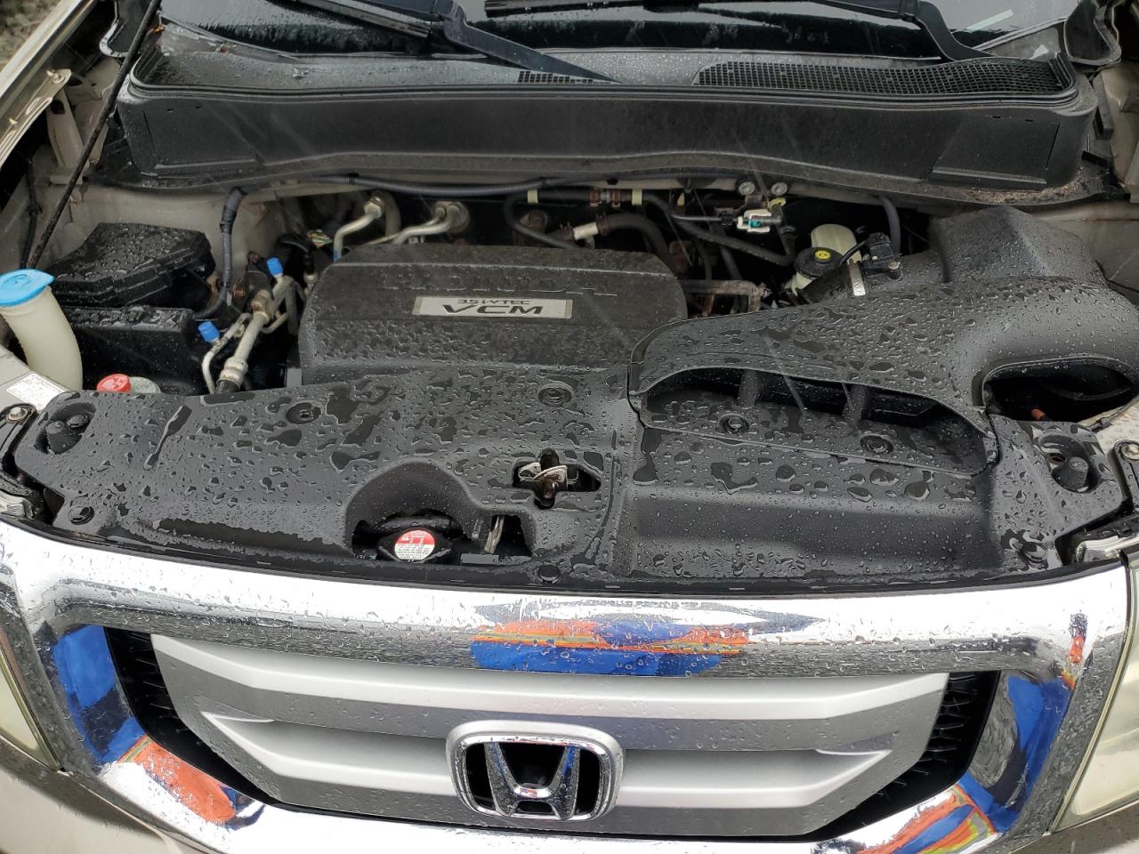 2009 Honda Pilot Exl VIN: 5FNYF48599B030699 Lot: 81238475