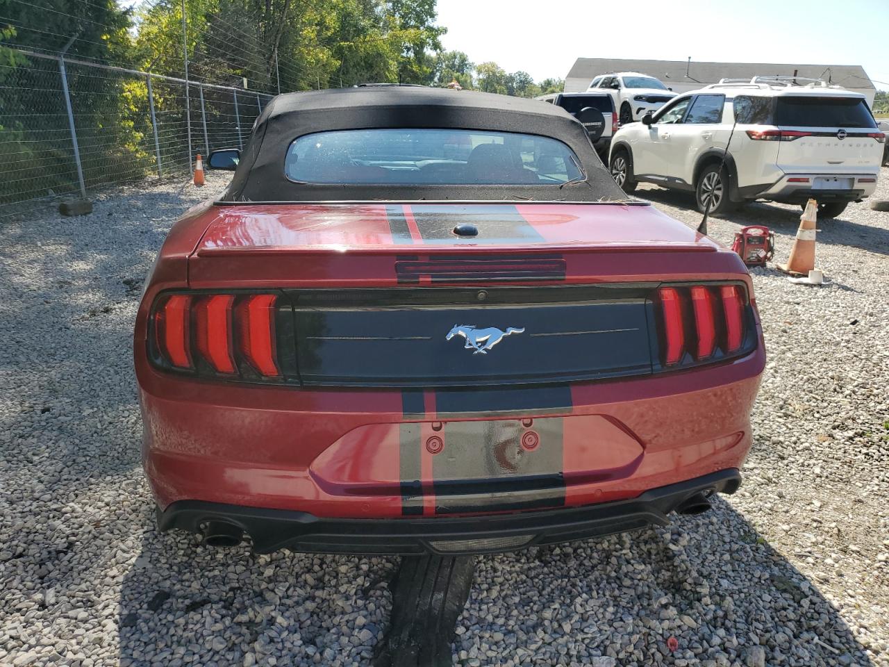 2019 Ford Mustang VIN: 1FATP8UH8K5204094 Lot: 80077795