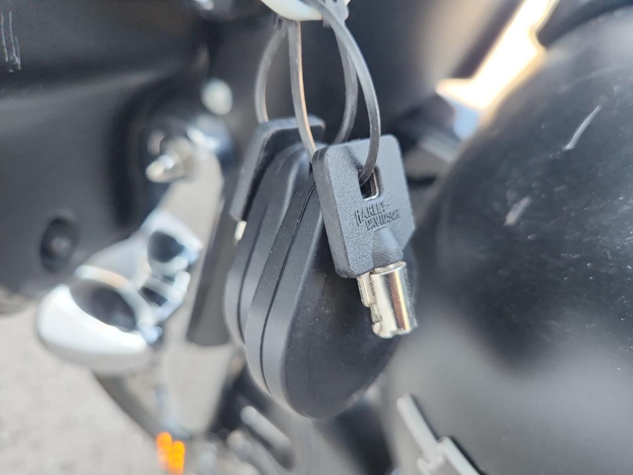 2020 Harley-Davidson Flhx VIN: 1HD1KBC12LB647120 Lot: 71236785