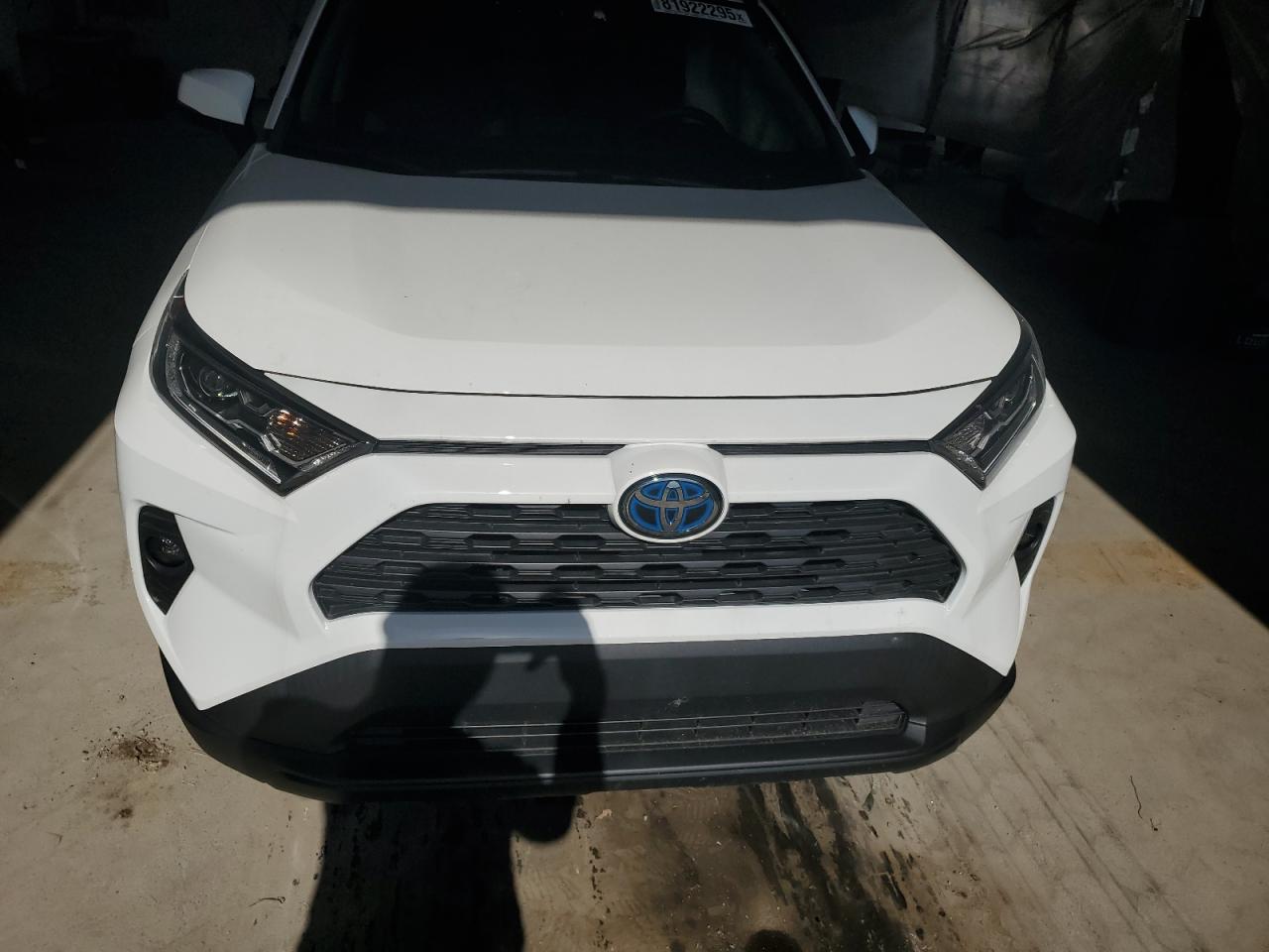 2020 Toyota Rav4 Xle VIN: 2T3RWRFV2LW091267 Lot: 81922295