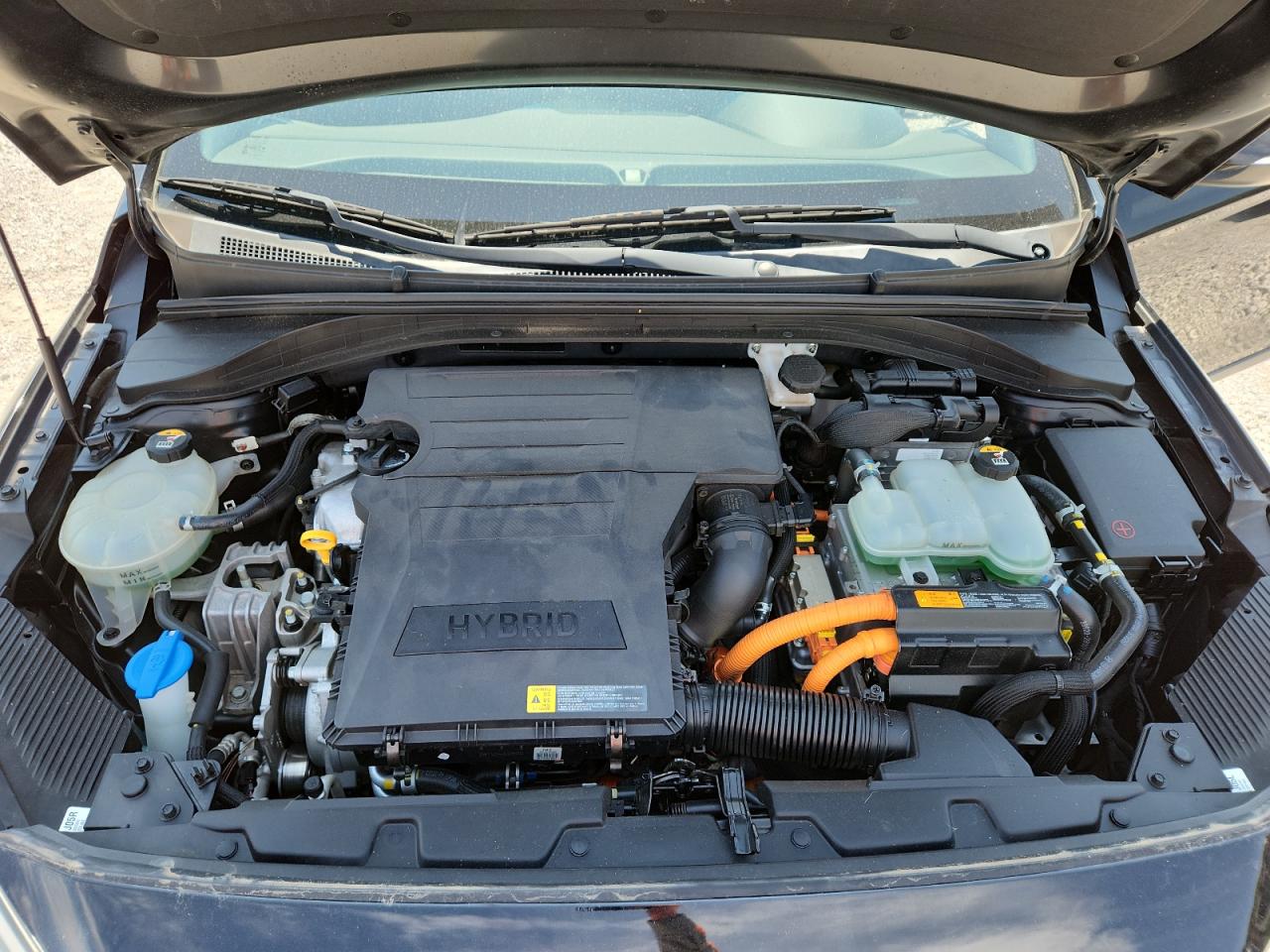 2017 Hyundai Ioniq Sel VIN: KMHC75LC6HU025139 Lot: 71532275