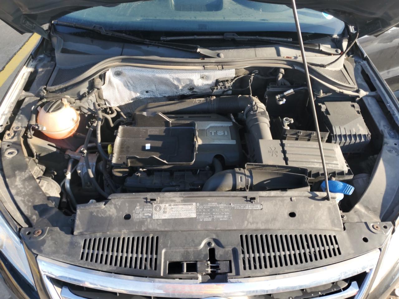 2010 Volkswagen Tiguan Se VIN: WVGBV7AX7AW510192 Lot: 83803615