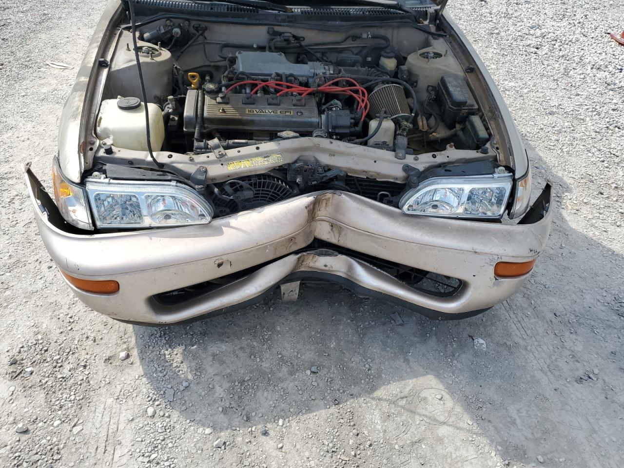 1994 Toyota Corolla VIN: 1NXAE04B7RZ219444 Lot: 80292675