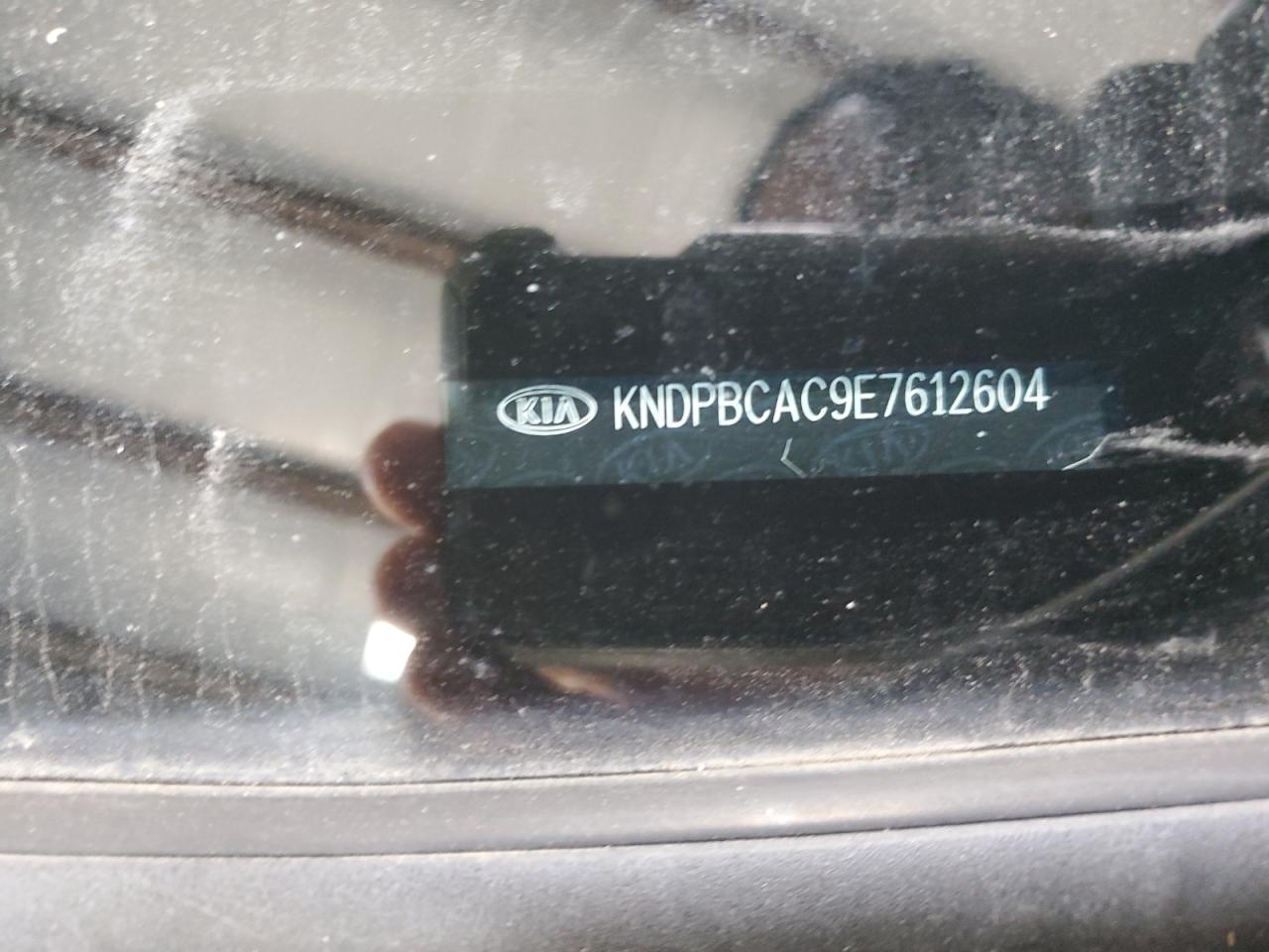 2014 Kia Sportage Lx VIN: KNDPBCAC9E7612604 Lot: 81128895