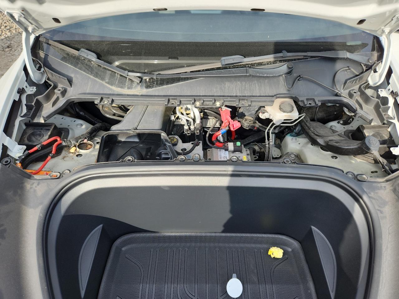 2022 Tesla Model Y VIN: 7SAYGDEE1NF493595 Lot: 71265095