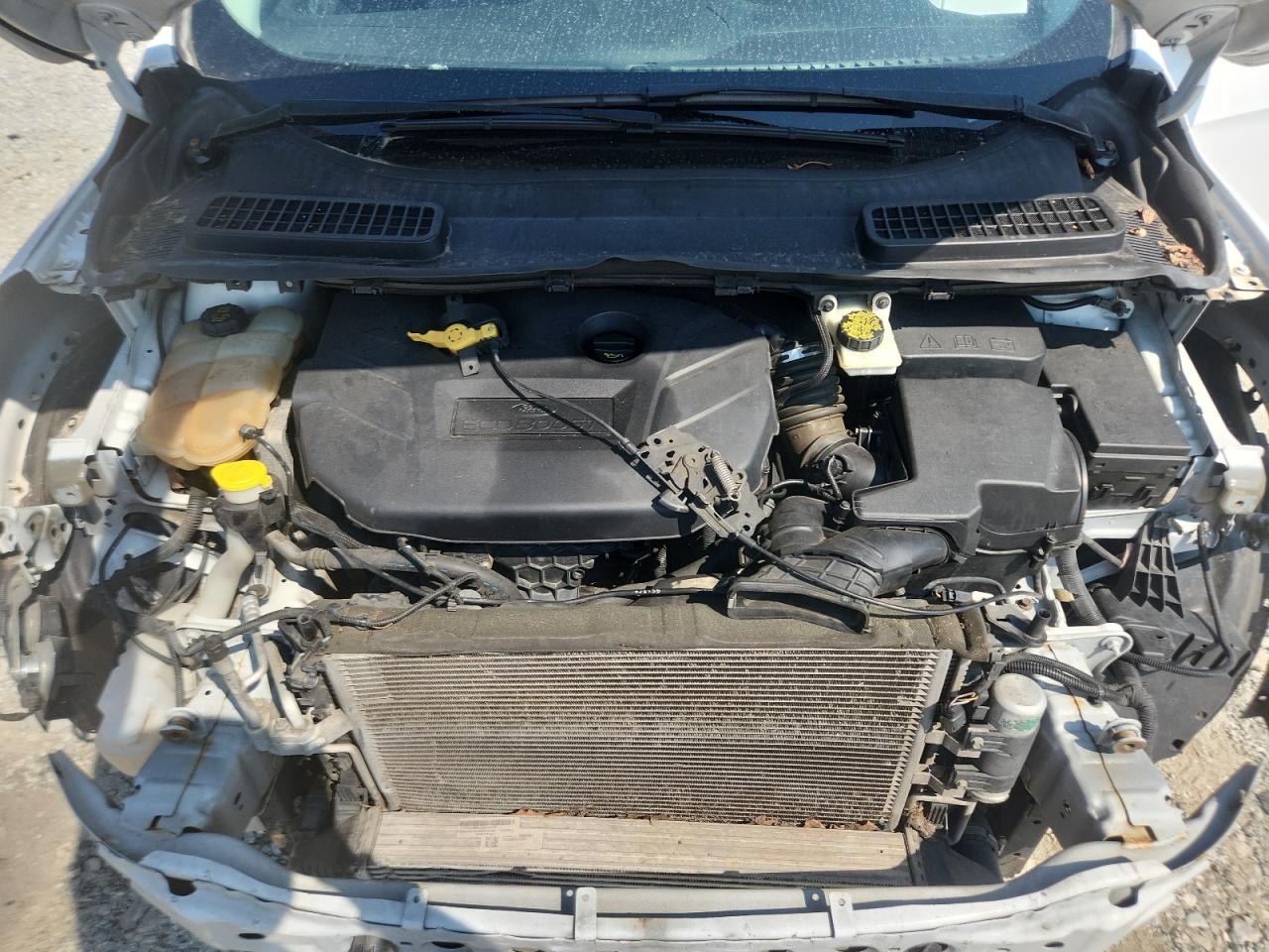 2016 Ford Escape Se VIN: 1FMCU9G95GUB18439 Lot: 80499175