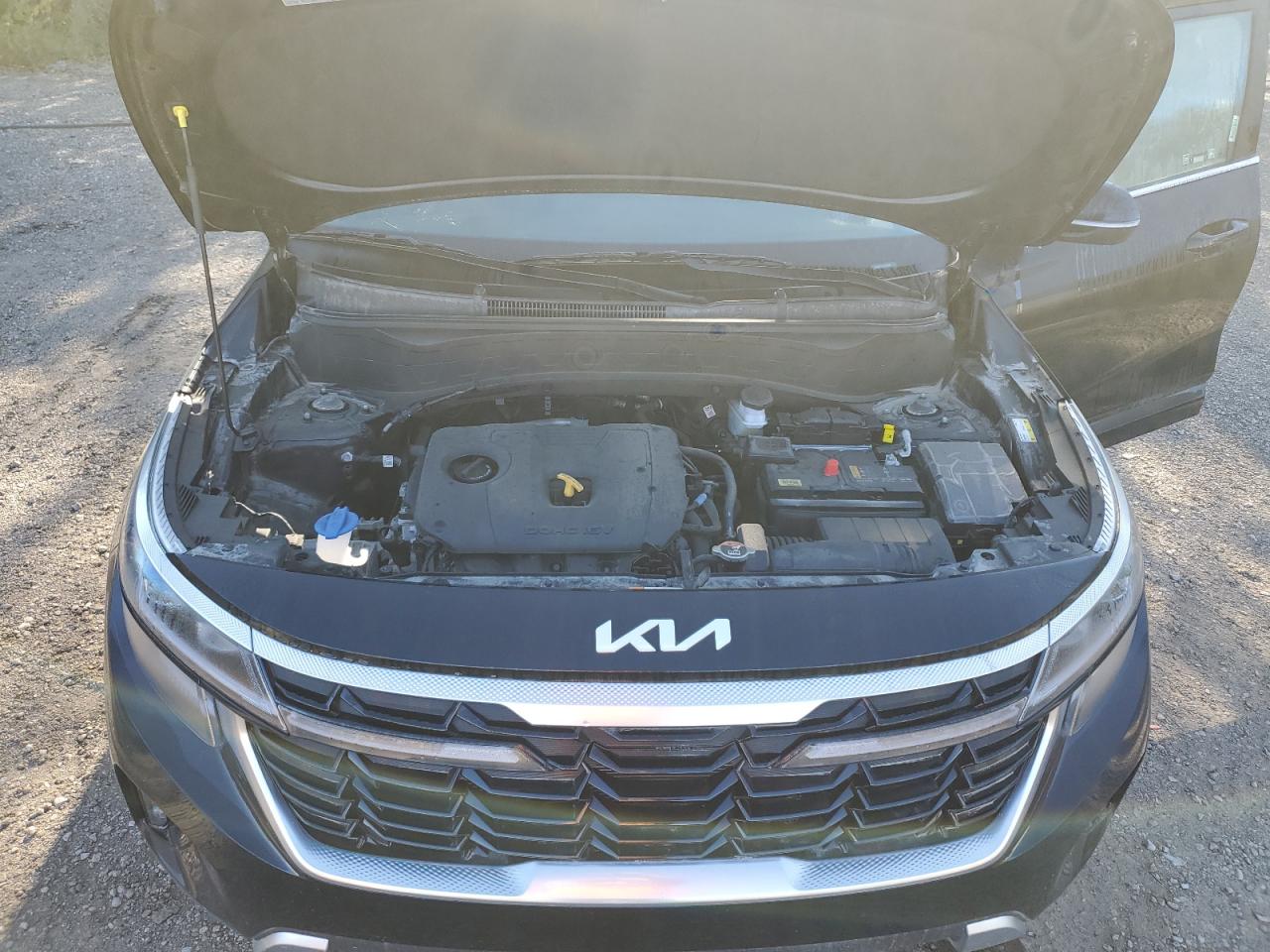 2024 Kia Seltos S VIN: KNDEUCAA1R7664539 Lot: 84220125