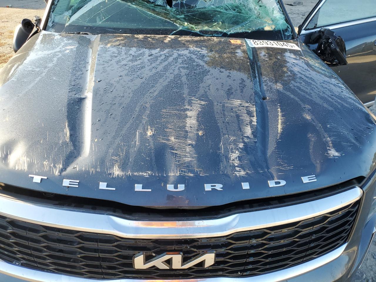 2022 Kia Telluride S VIN: 5XYP64HCXNG227894 Lot: 83931045