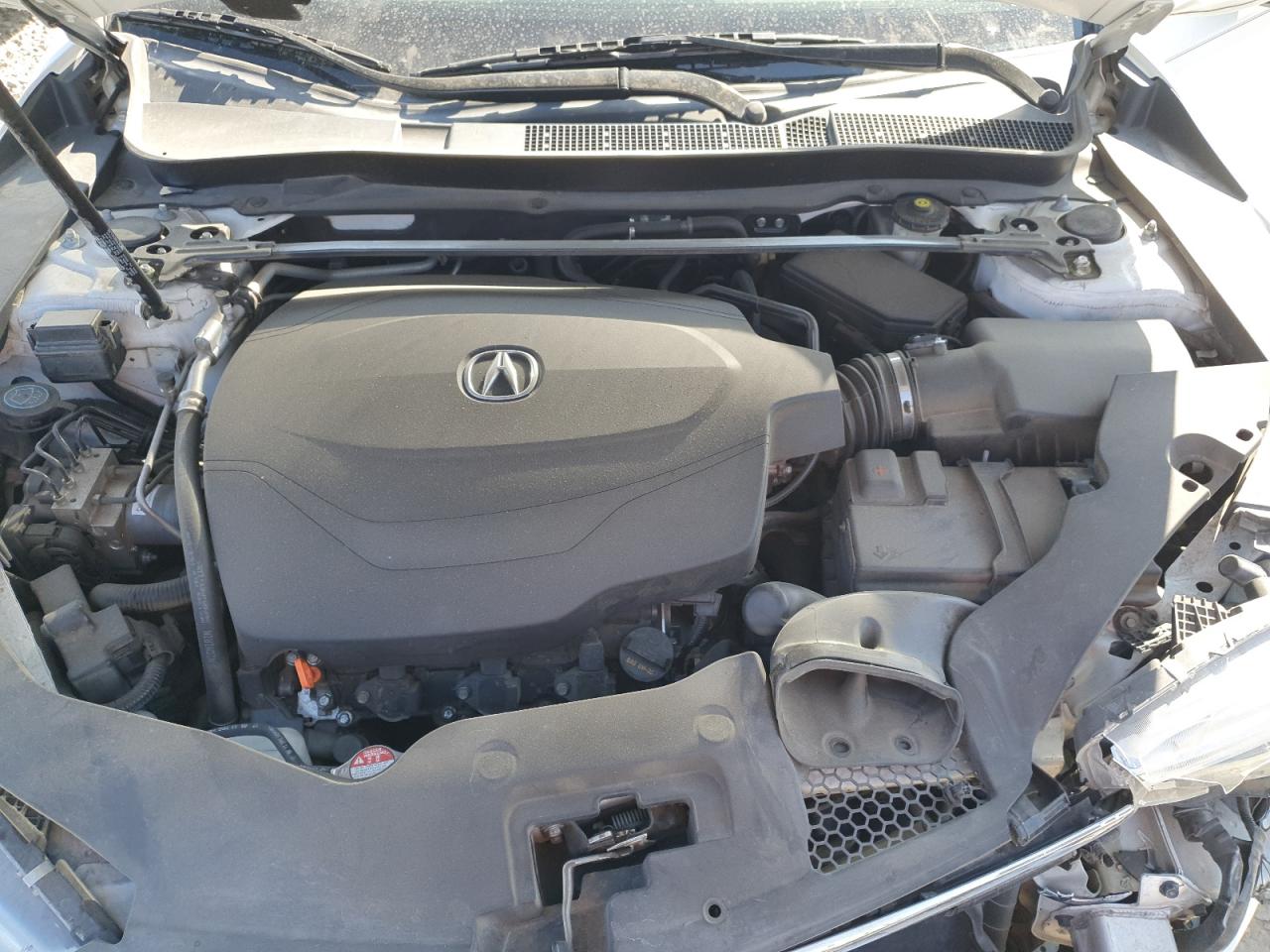 2019 Acura Tlx VIN: 19UUB2F38KA008404 Lot: 72013665