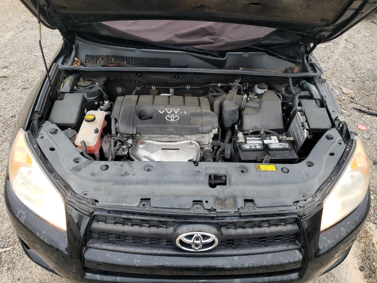 2011 Toyota Rav4 VIN: 2T3BF4DV3BW105103 Lot: 81812535