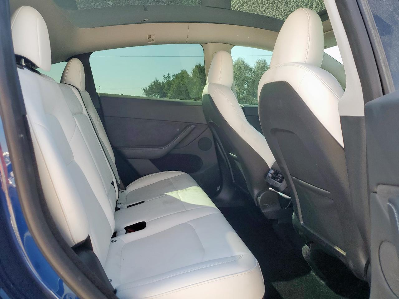 2024 Tesla Model Y VIN: 7SAYGDEE0RA217265 Lot: 81842945