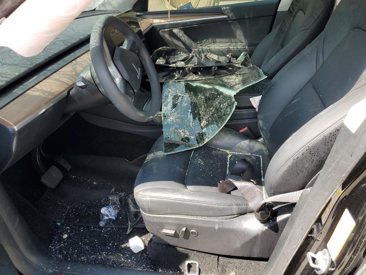 2024 Tesla Model Y VIN: 7SAYGDED6RF206541 Lot: 81378765