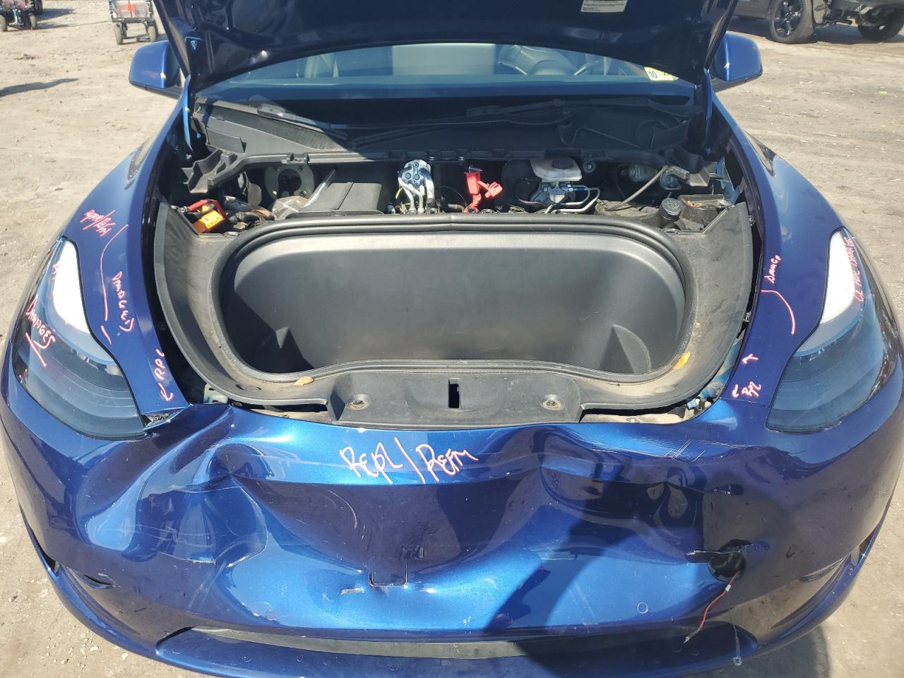 2022 Tesla Model Y VIN: 7SAYGDEF4NF534262 Lot: 81116955