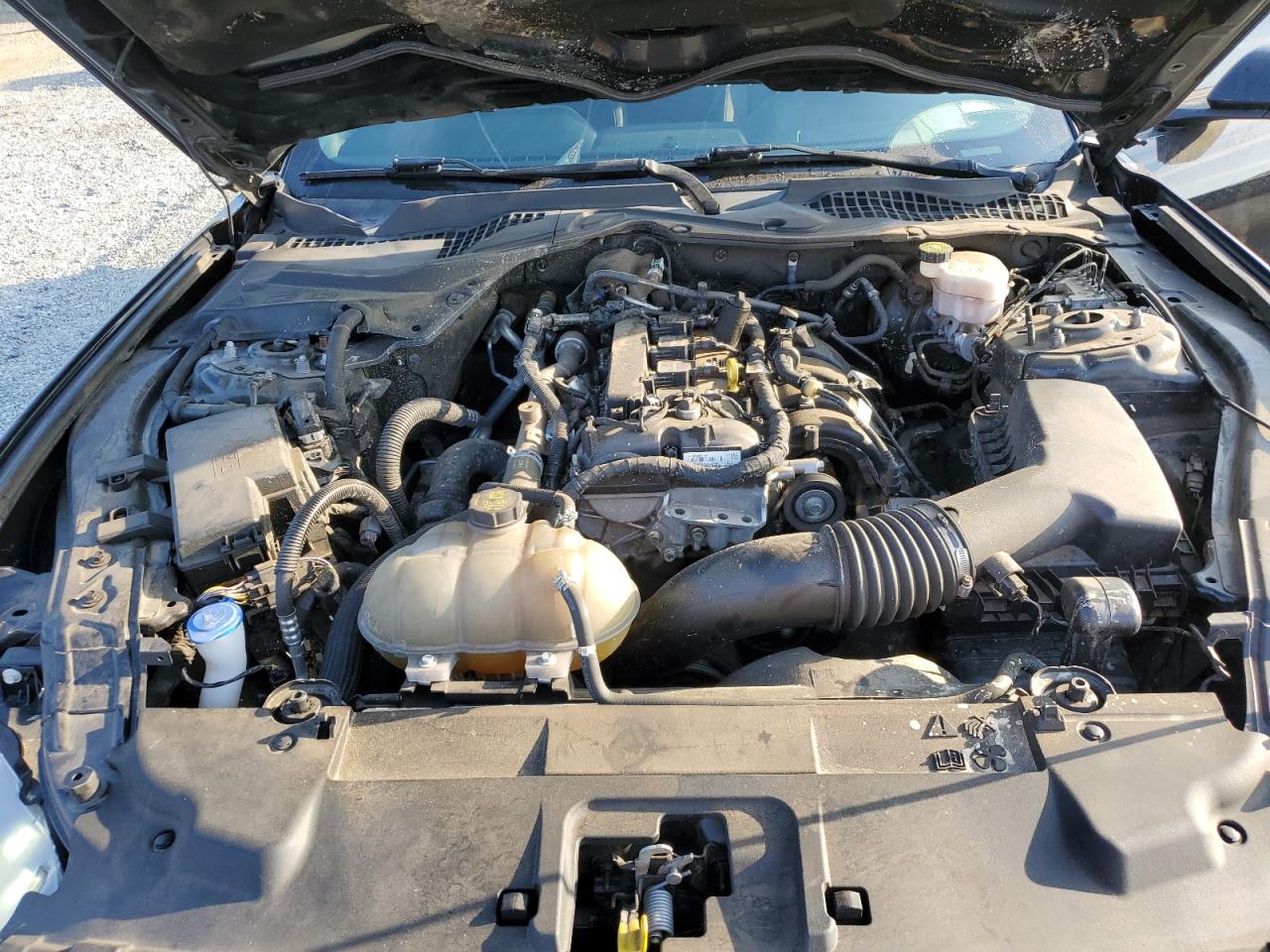 2021 Ford Mustang VIN: 1FA6P8TH2M5100850 Lot: 81483615