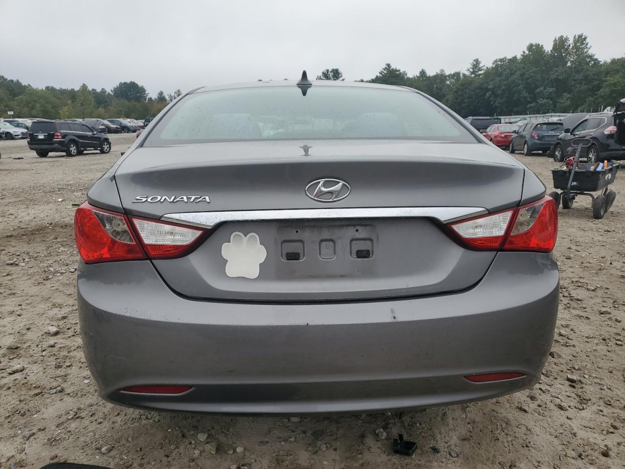 2011 Hyundai Sonata Gls VIN: 5NPEB4AC7BH226218 Lot: 81075335