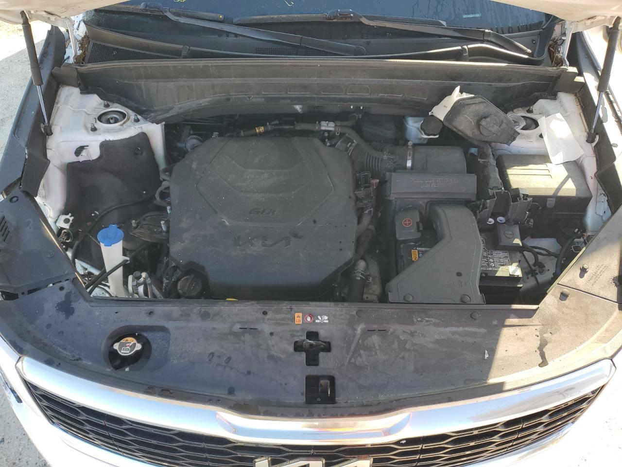 2022 Kia Telluride Sx VIN: 5XYP54HC9NG317430 Lot: 80671475