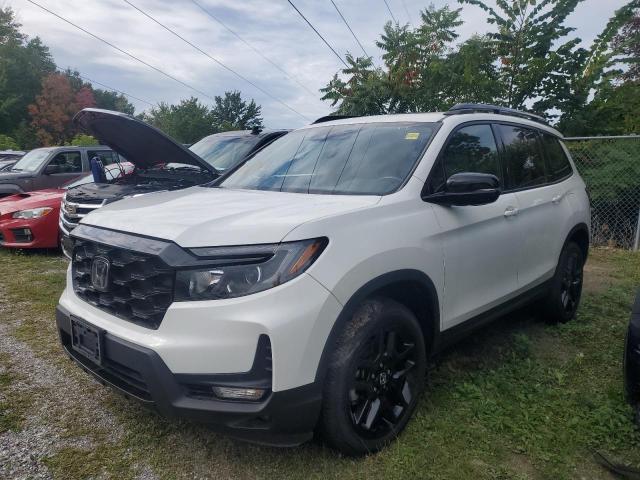  HONDA PASSPORT 2022 Белы