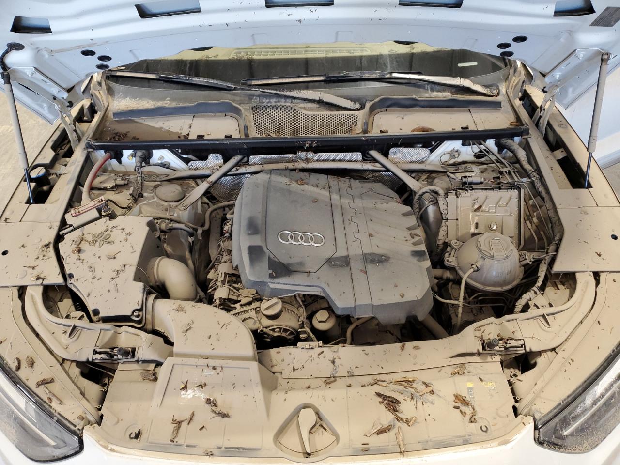 2024 Audi Q5 Premium Plus 45 VIN: WA1EAAFY5R2035571 Lot: 69815695