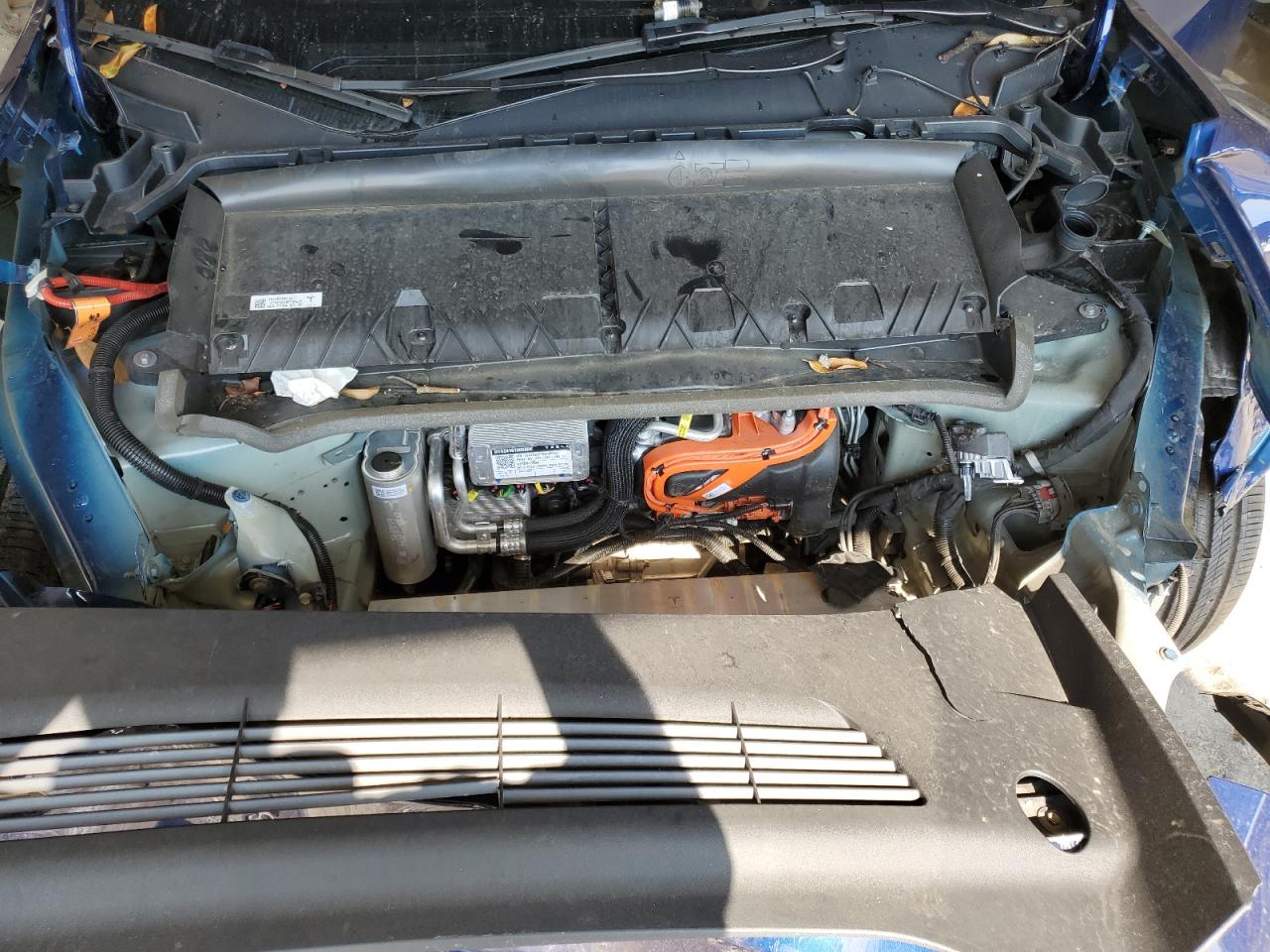 2024 Tesla Model Y VIN: 7SAYGDEF2RA269456 Lot: 81261395