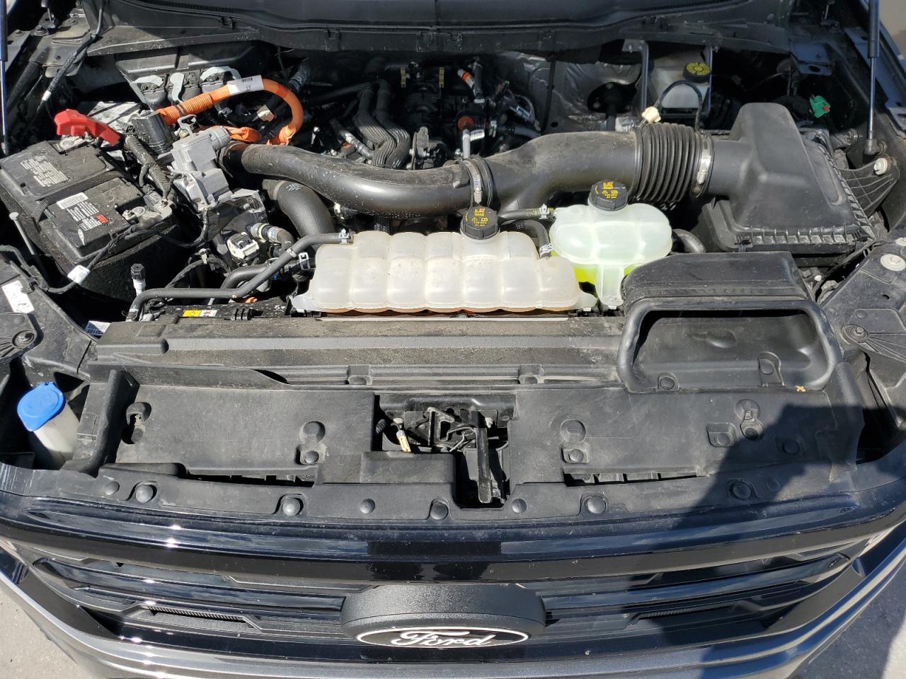 2024 Ford F150 Xlt VIN: 1FTFW3LD3RFB05571 Lot: 84027775