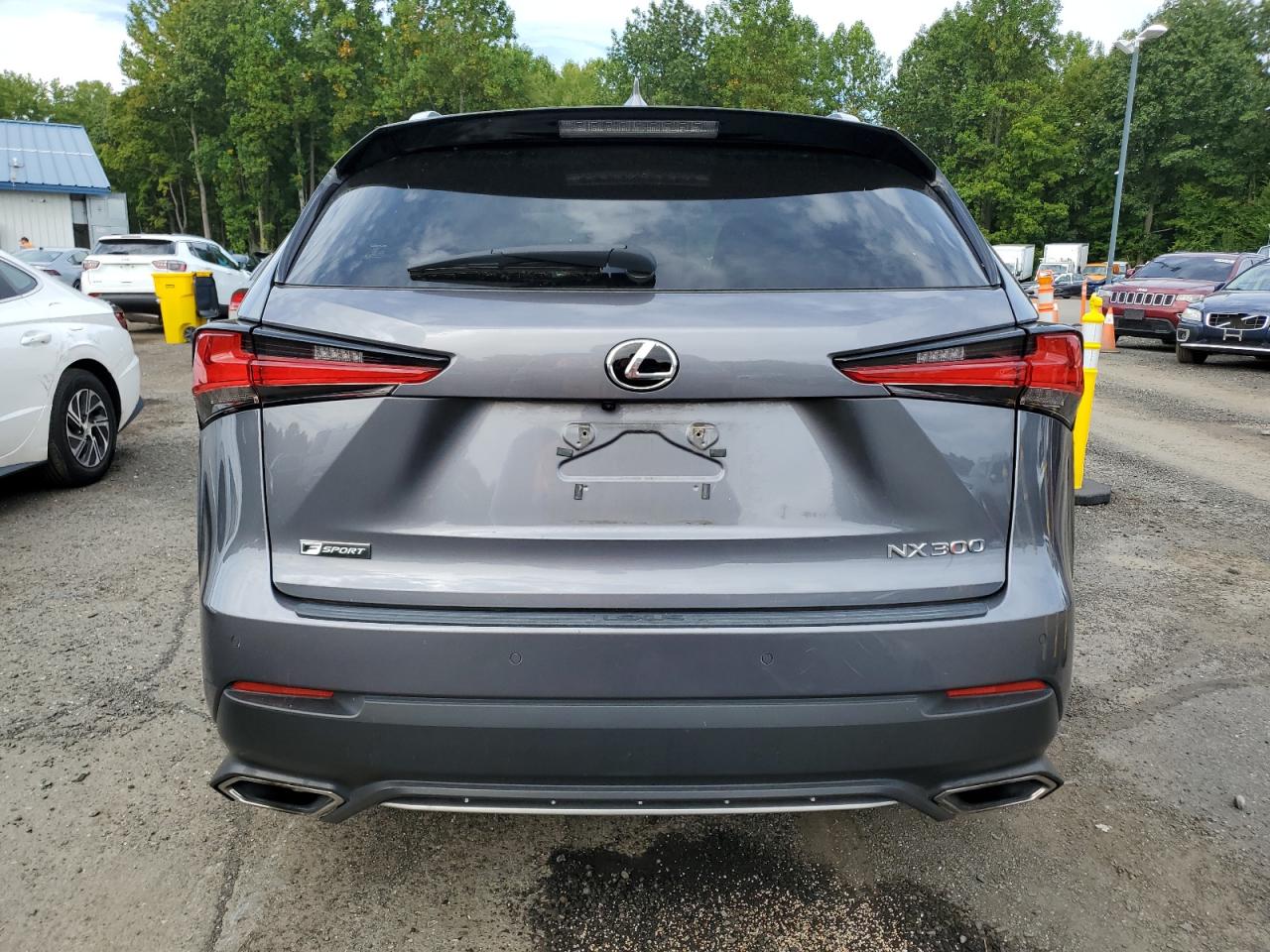 2020 Lexus Nx 300 F Sport VIN: JTJSARBZ7L2173736 Lot: 80616225