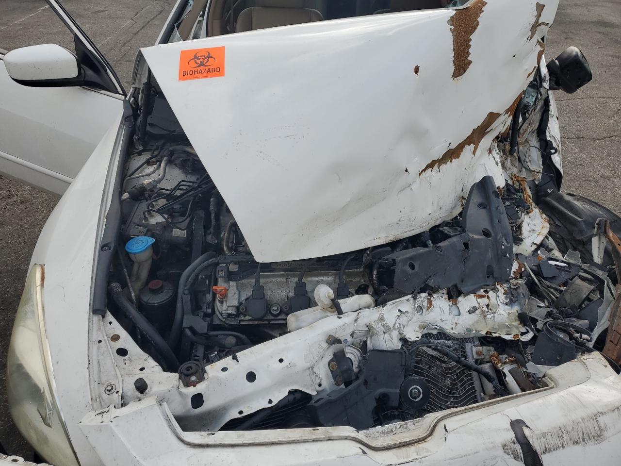 2004 Honda Accord Ex VIN: 1HGCM66584A029335 Lot: 81510745