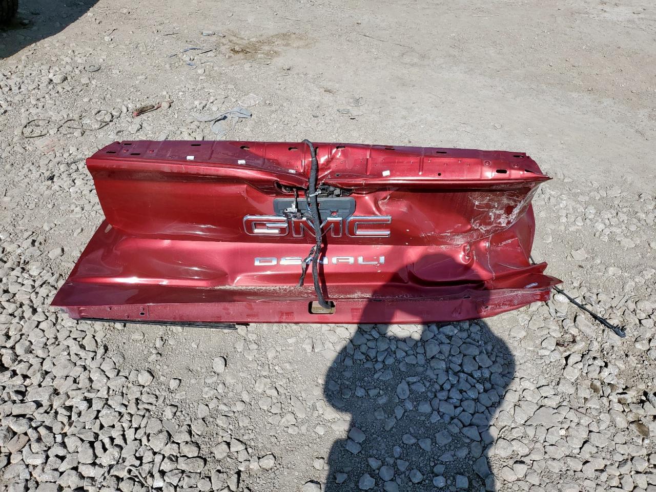 2019 GMC Sierra C1500 Denali VIN: 1GTP8FED9KZ110159 Lot: 81473735