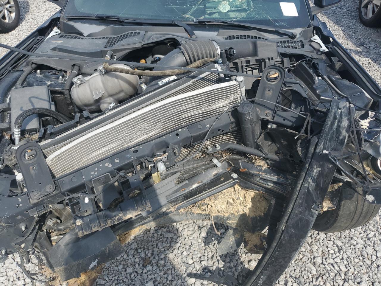 2017 Ford Mustang VIN: 1FA6P8TH6H5343115 Lot: 81232675