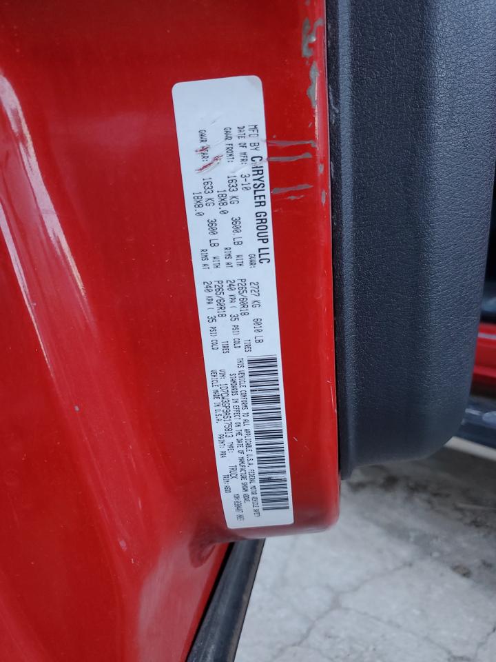 2010 Dodge Dakota Sxt VIN: 1D7CW3GP9AS175813 Lot: 81005755