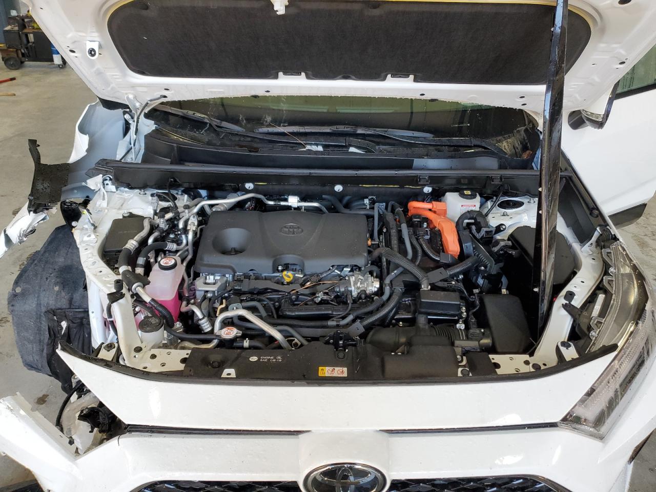 2025 Toyota Rav4 Se VIN: JTMAB3FV2SD251505 Lot: 71547165