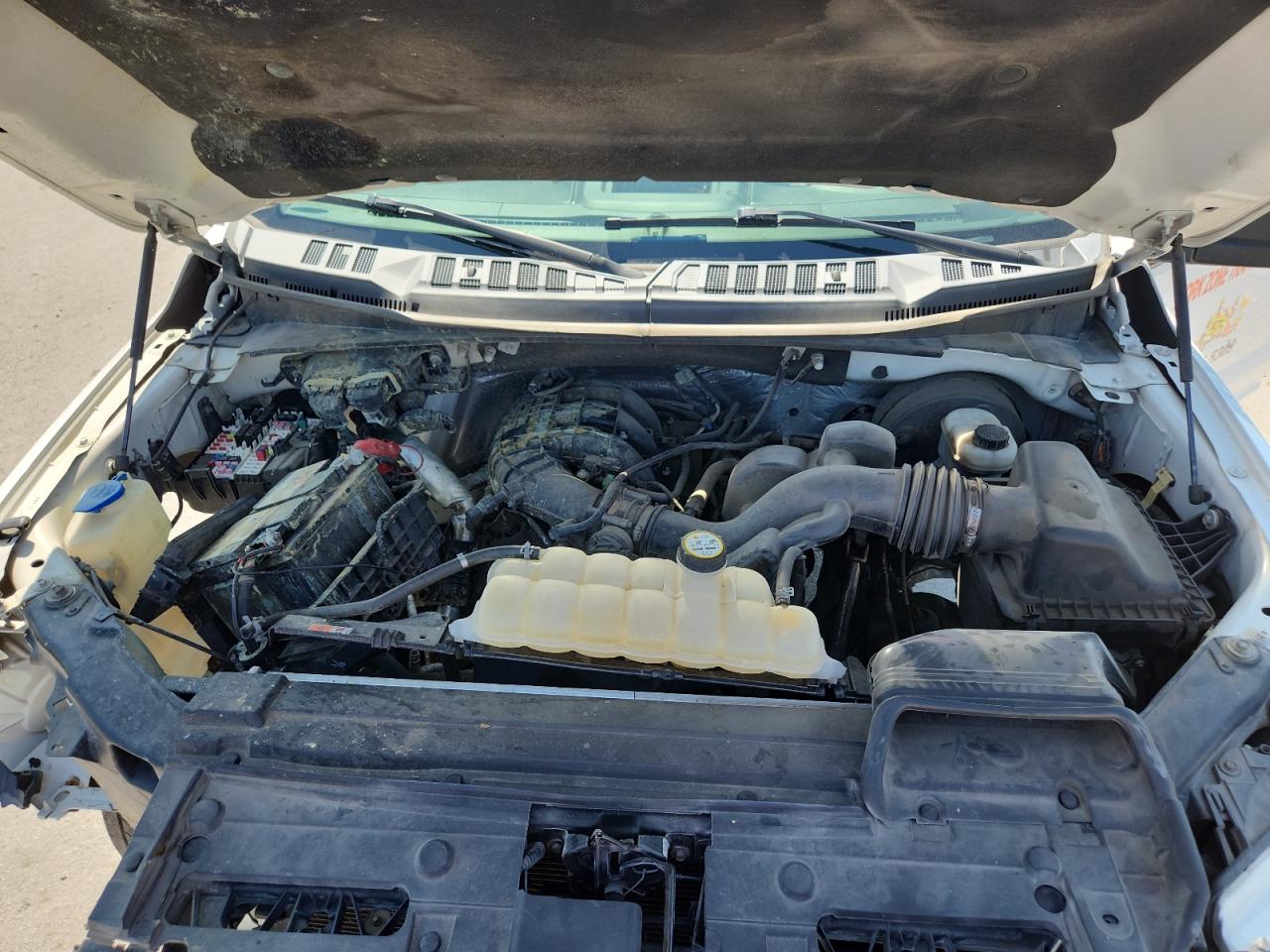 2016 Ford F150 VIN: 1FTMF1C84GKD58207 Lot: 81502235