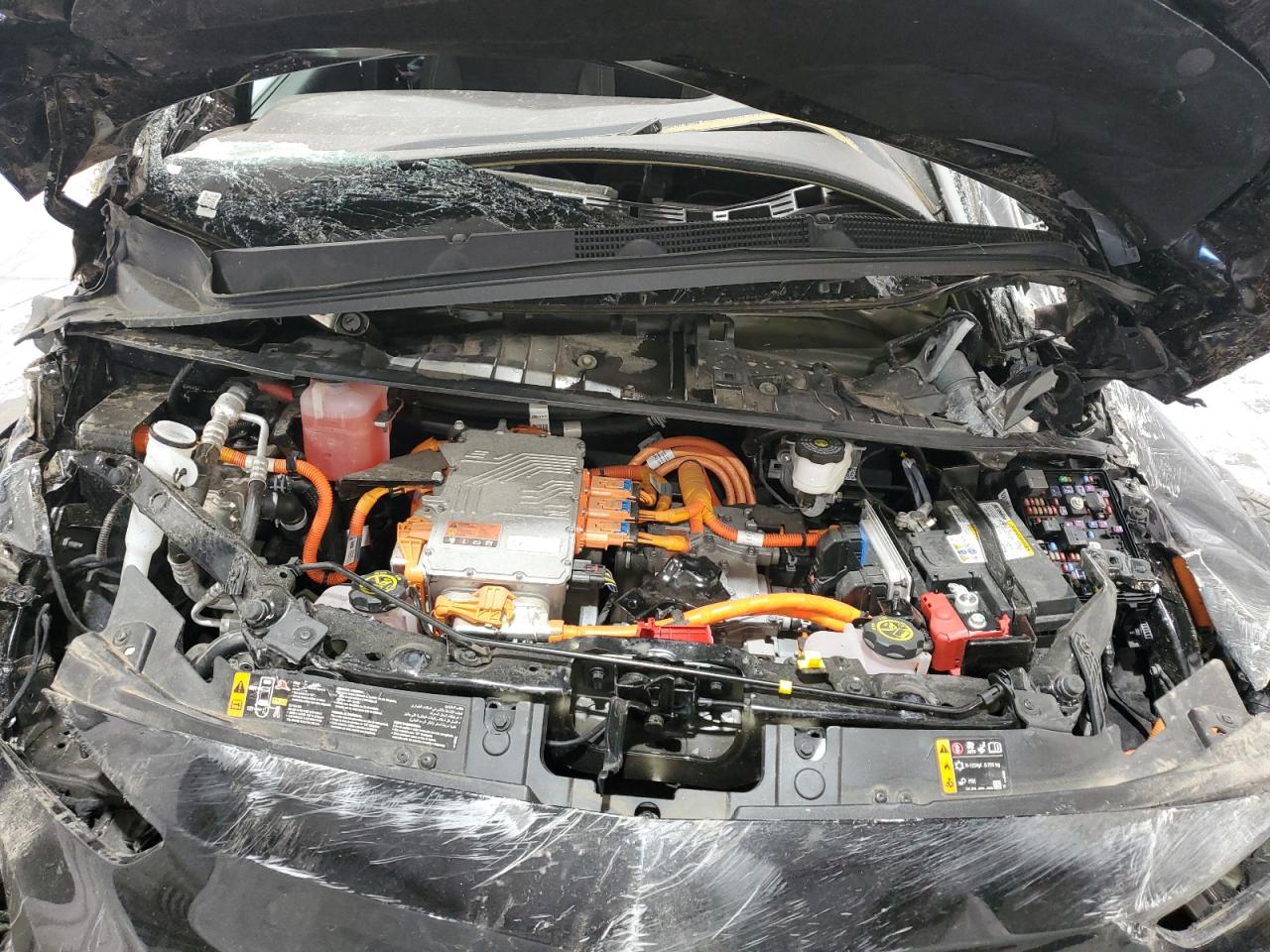 2023 Chevrolet Bolt Ev 1Lt VIN: 1G1FW6S06P4199138 Lot: 81601965