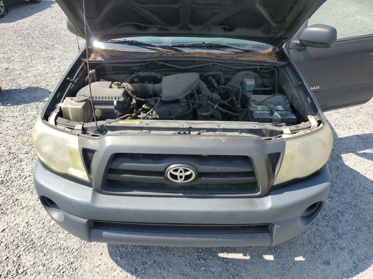 2006 Toyota Tacoma VIN: 5TENX22N66Z193771 Lot: 81008135