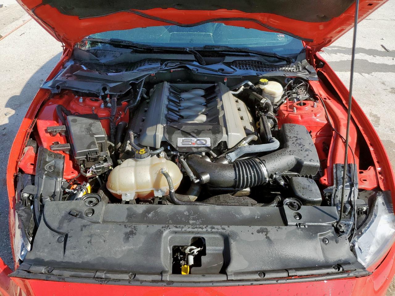 2017 Ford Mustang Gt VIN: 1FA6P8CF4H5228866 Lot: 80632465