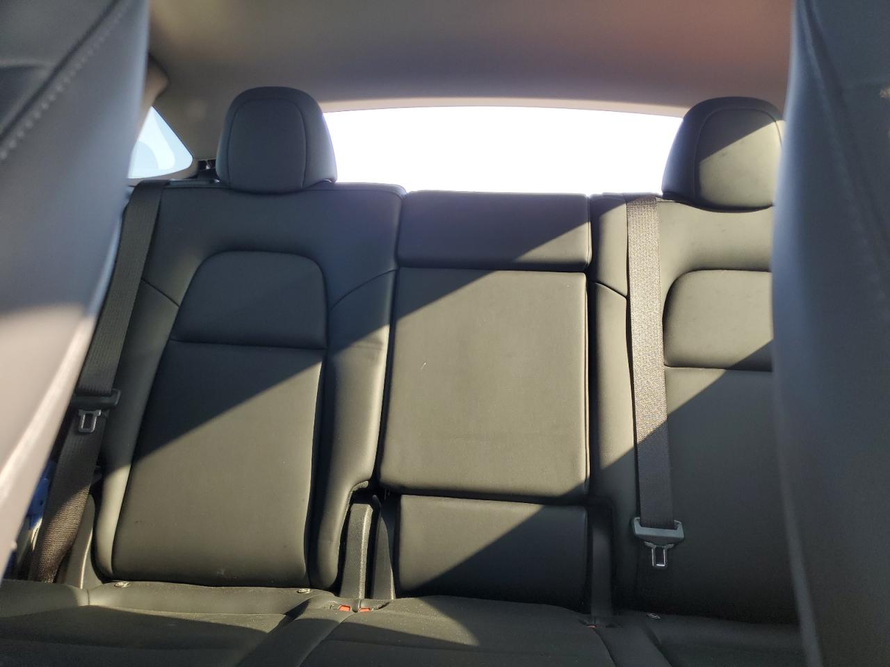 2024 Tesla Model Y VIN: 7SAYGDED7RF002959 Lot: 80151015