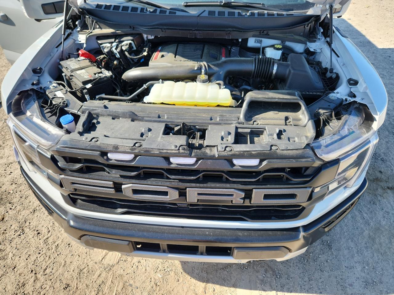 2024 Ford F150 Raptor VIN: 1FTFW1RG1RFC24340 Lot: 71792735